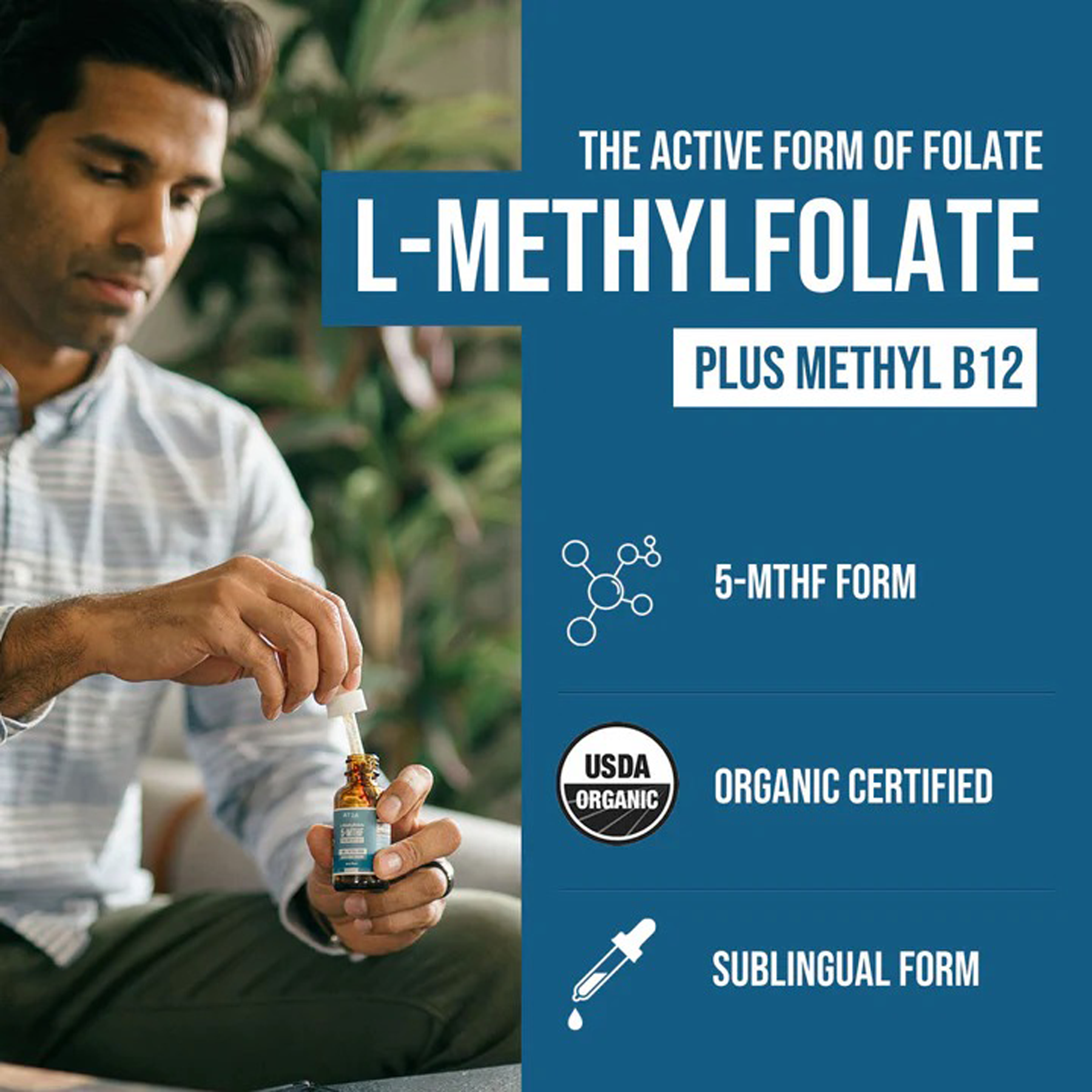 AT2A active folate graphic